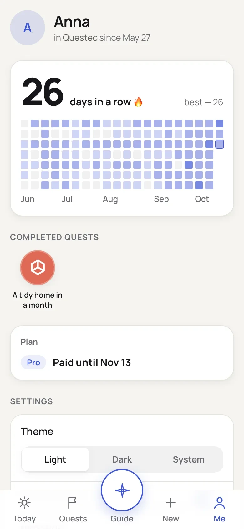 Activity grid and day streak